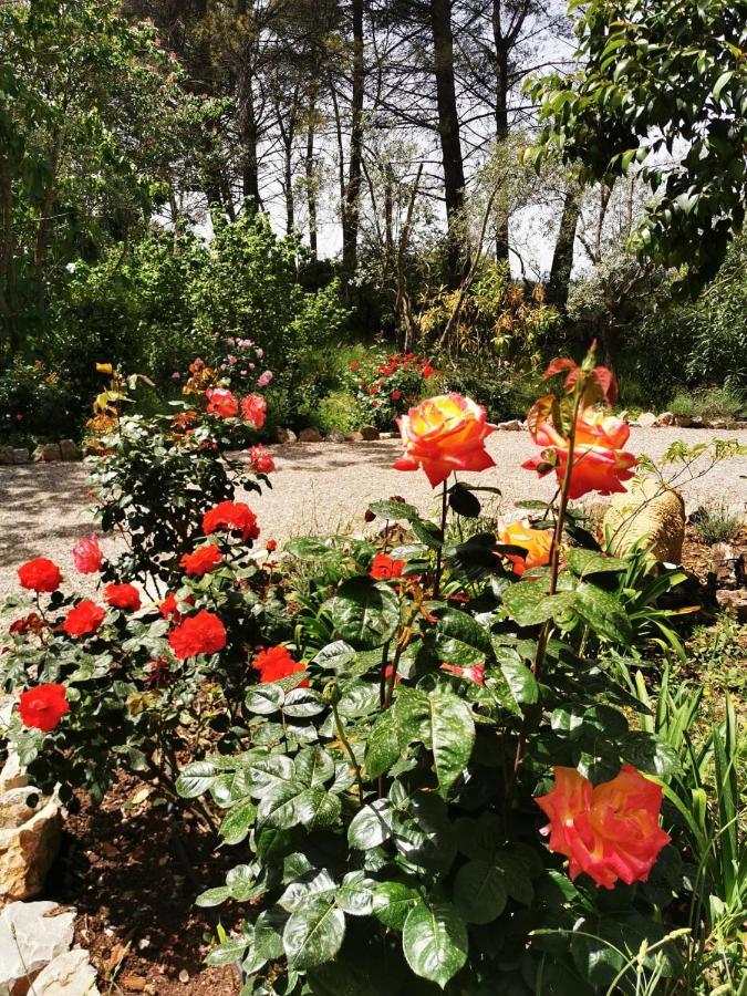 La Maison Du Soleil Provence Draguignan Buitenkant foto